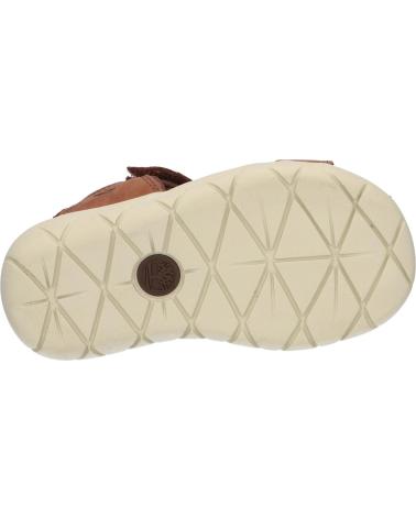 boy Sandals TIMBERLAND A24G2 NUBBLE  CAPPUCCINO