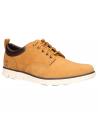 Chaussures TIMBERLAND  pour Homme A1I73  WHEAT